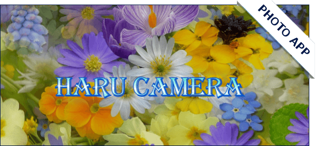 Haru Camera