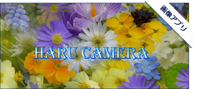 Haru Camera